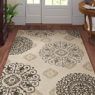 13 Ft Runner Rug | Wayfair